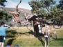 Old Photos