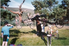 Bike-tree